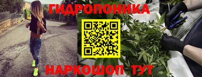 прущий лед Будённовск